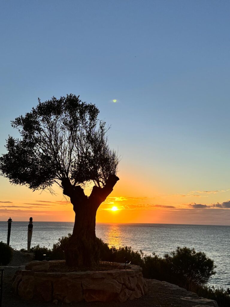 Ton-Aufzeichnung von Tina zum Reading